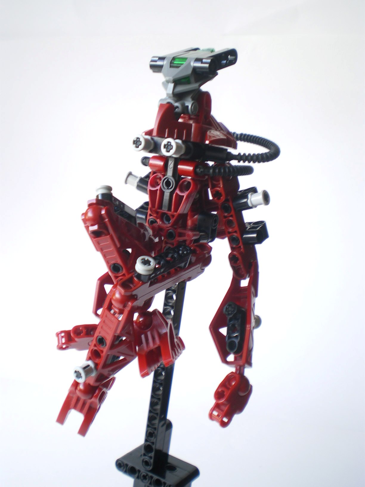 imgp2602.jpg