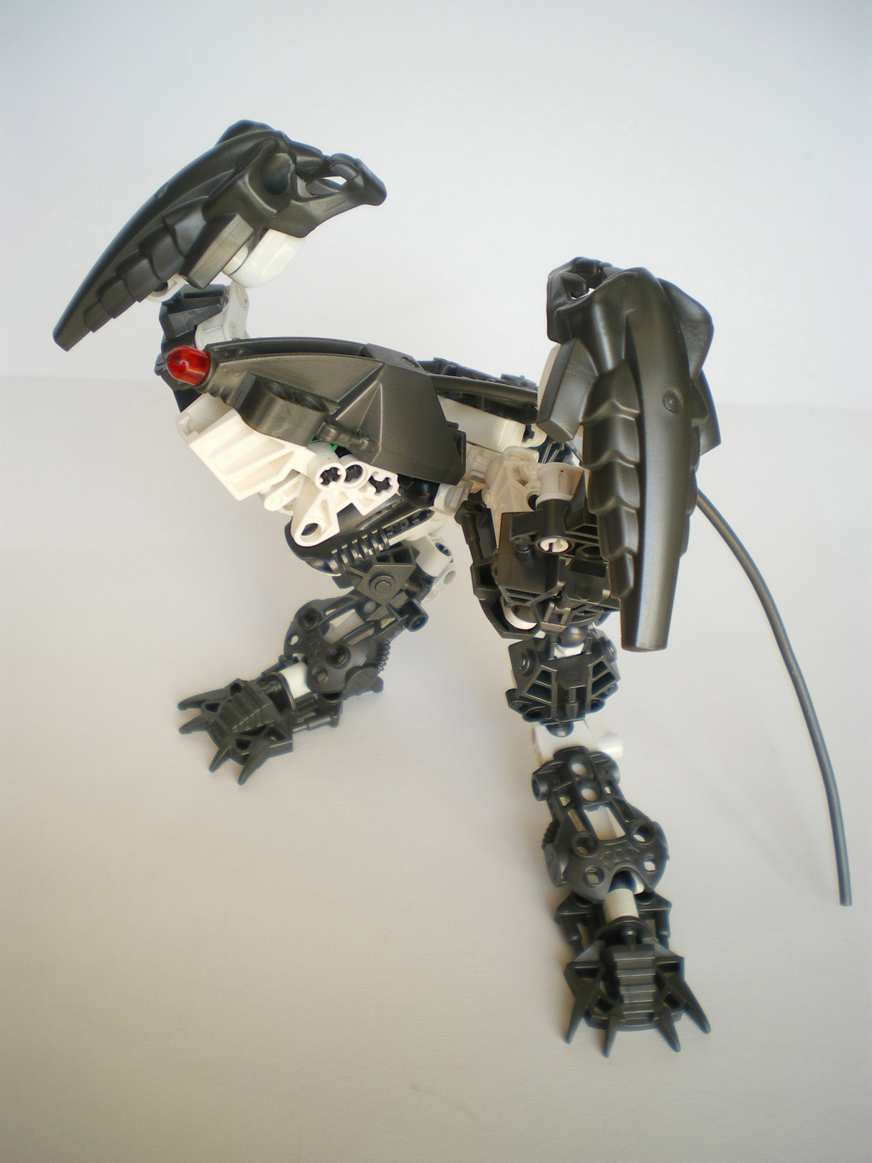 imgp5157.jpg