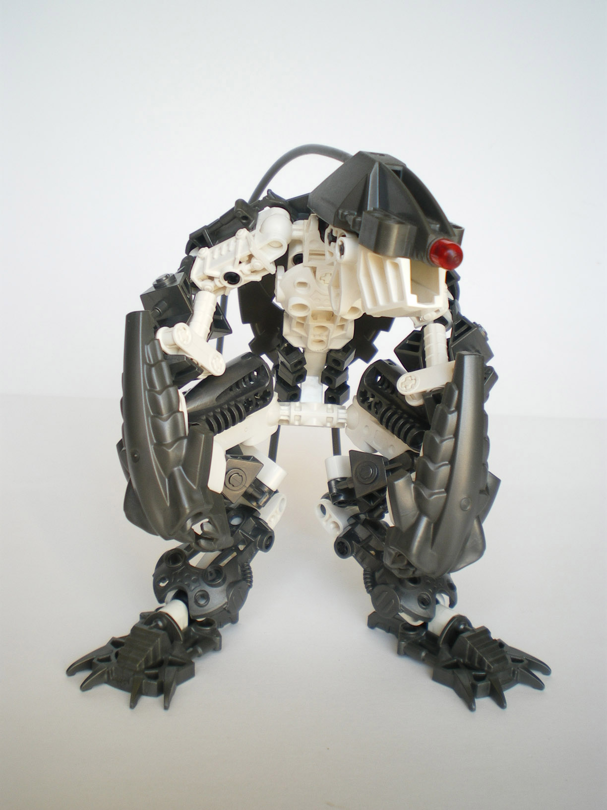 imgp5176.jpg