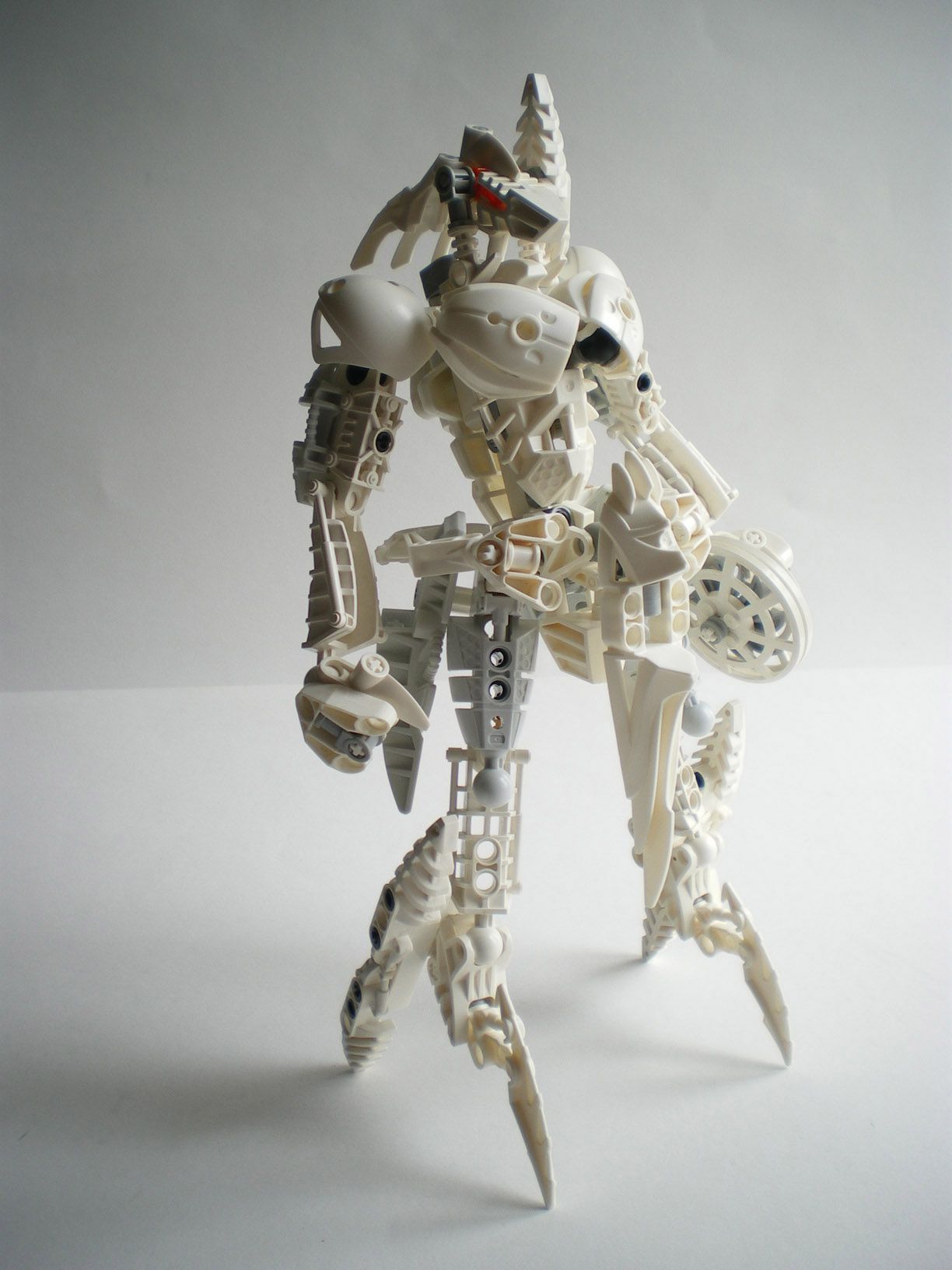imgp1258.jpg