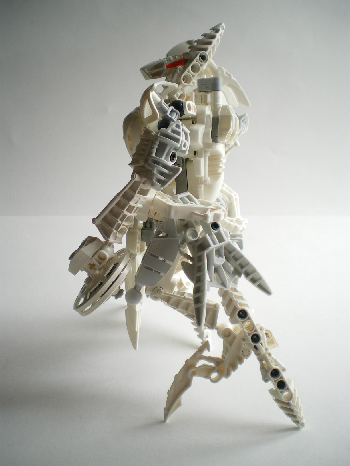 imgp1289.jpg