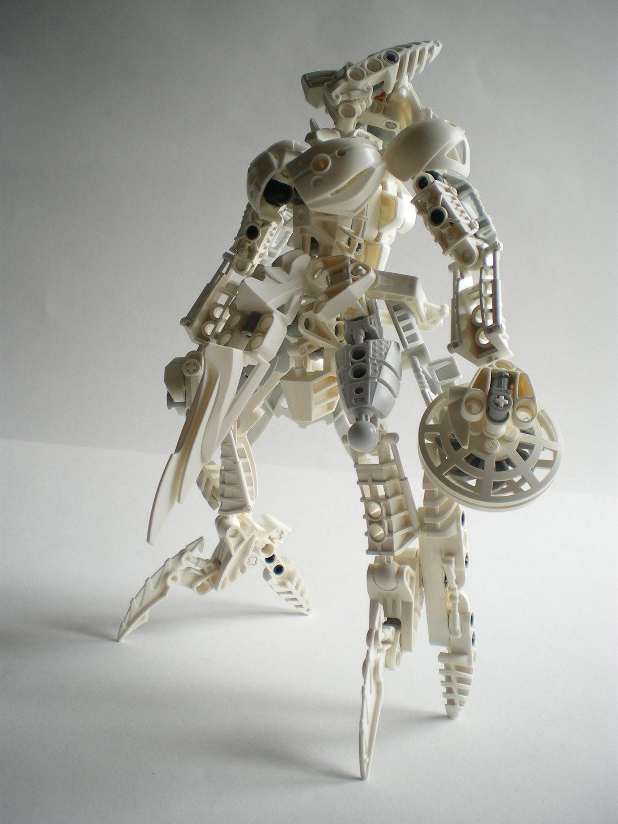 imgp1293.jpg