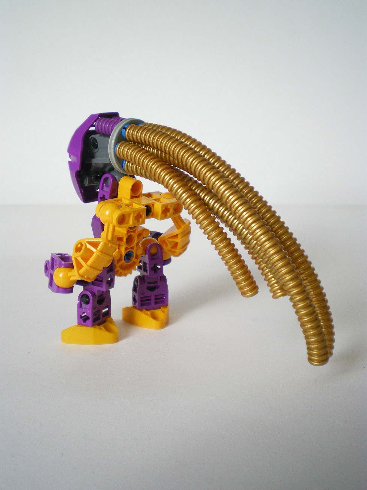 imgp8050.jpg
