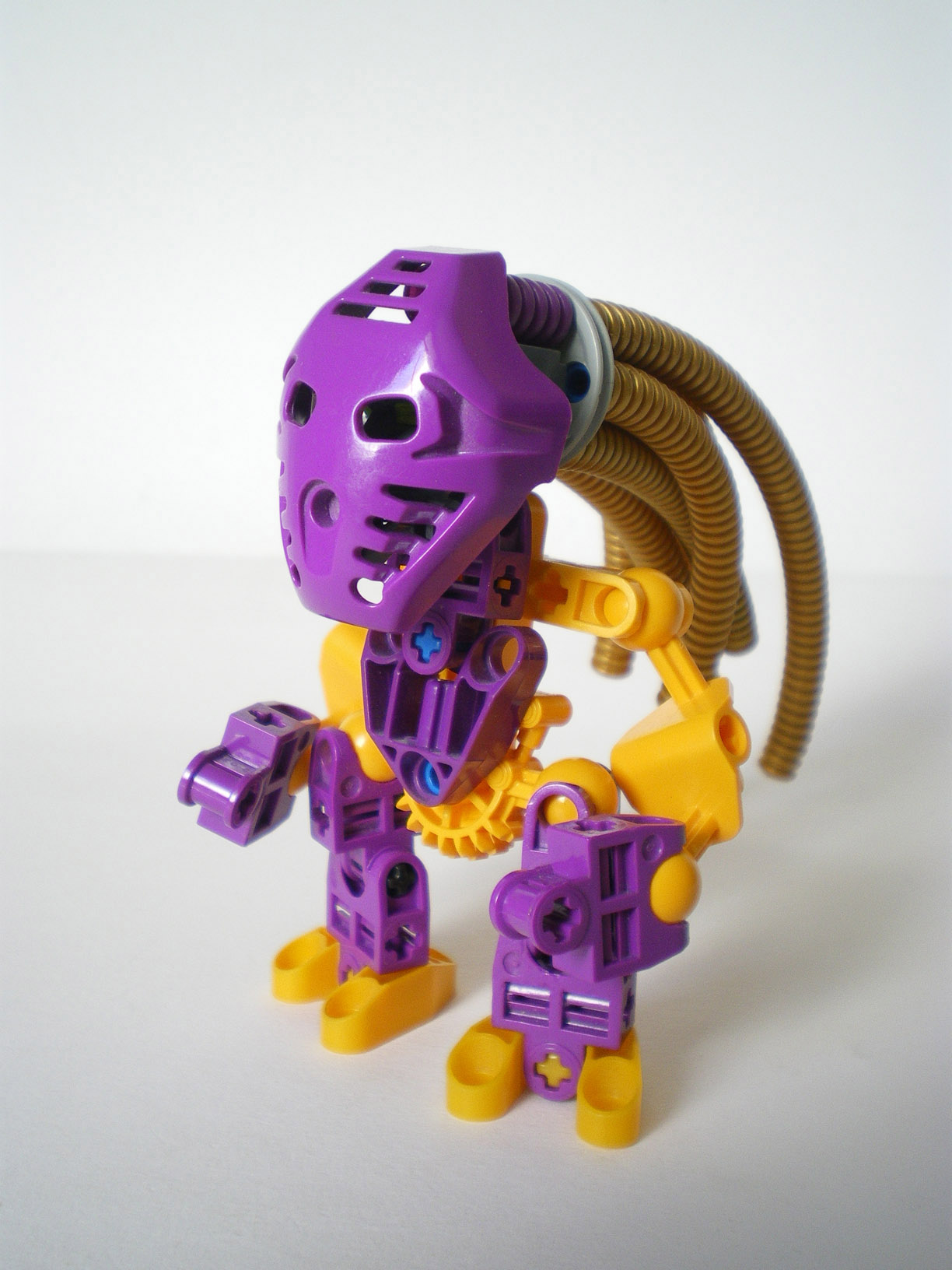 imgp8054.jpg