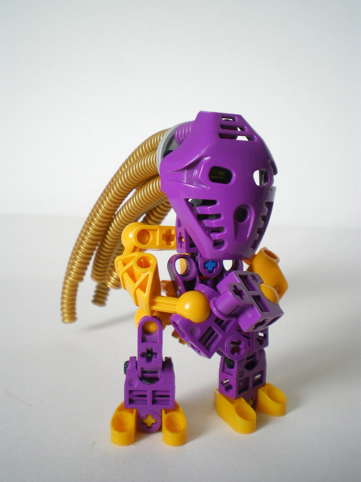 imgp8055.jpg