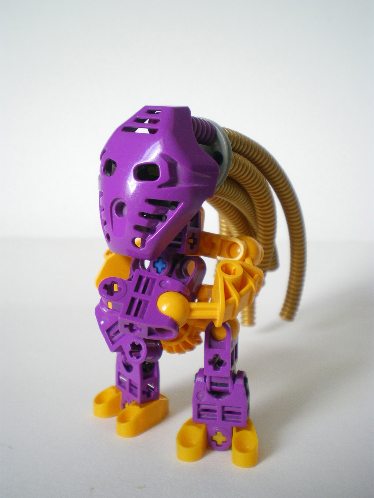 imgp8056.jpg