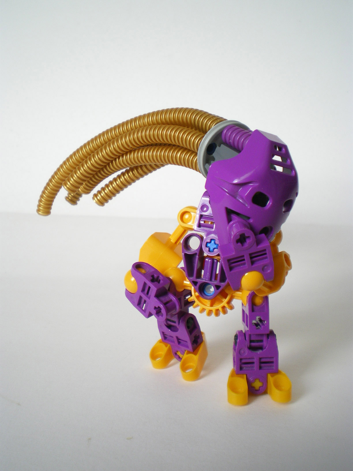 imgp8057.jpg
