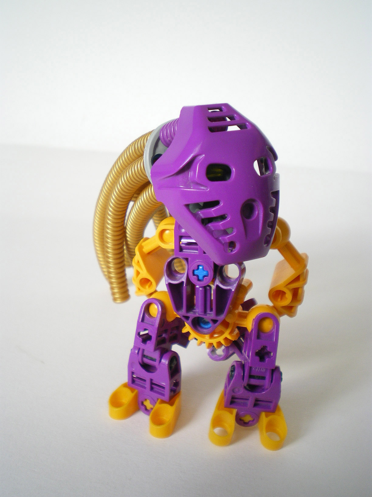 imgp8062.jpg