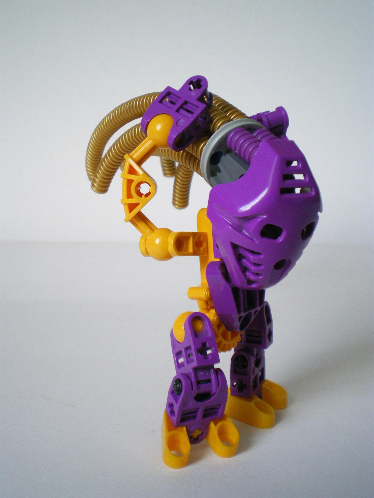 imgp8064.jpg