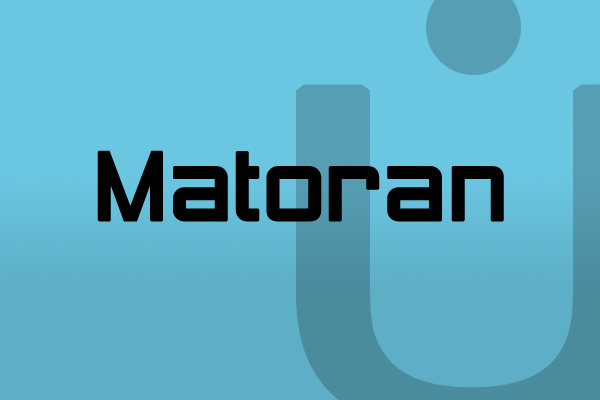 004matoran.jpg