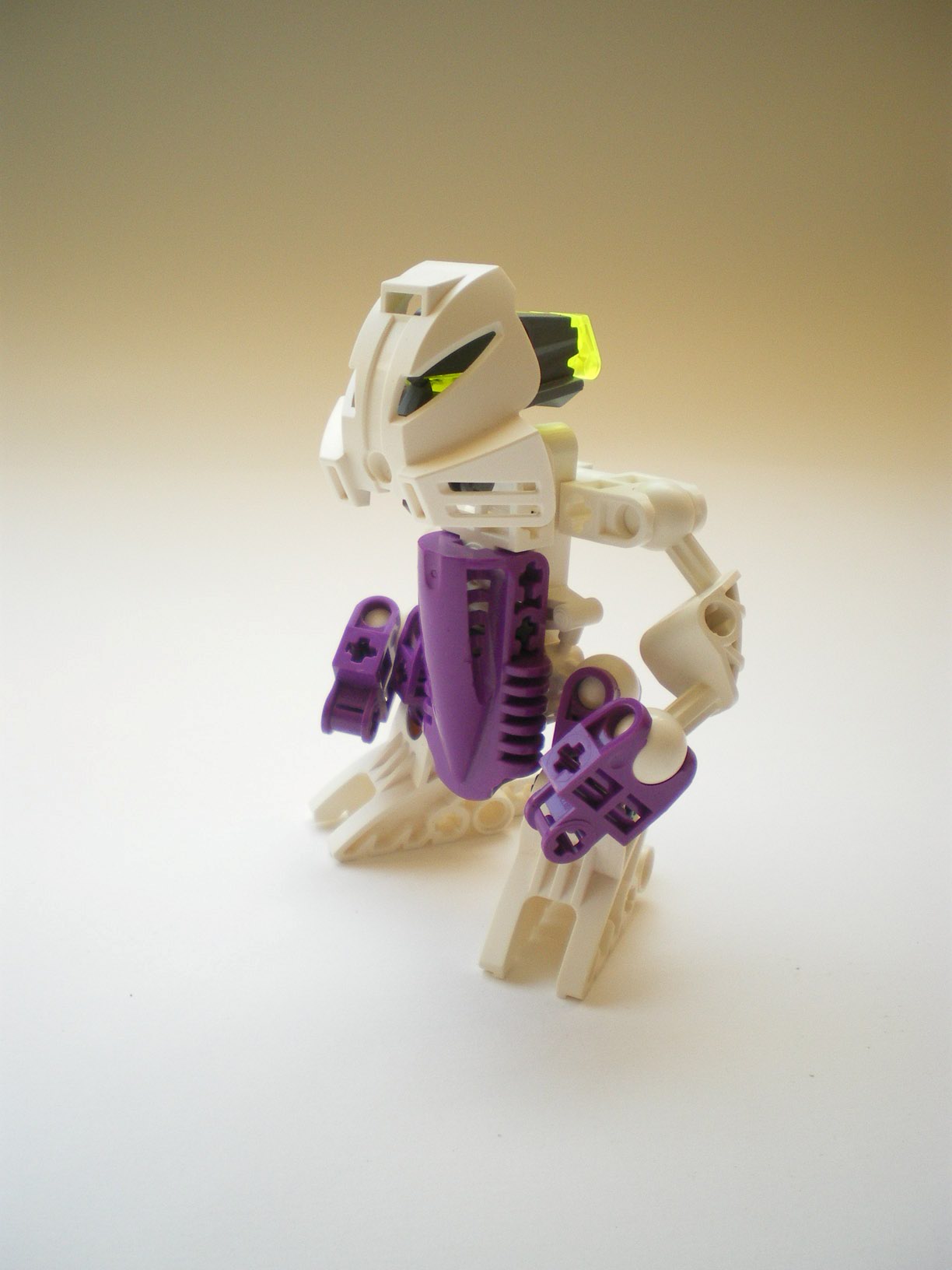 imgp1236.jpg