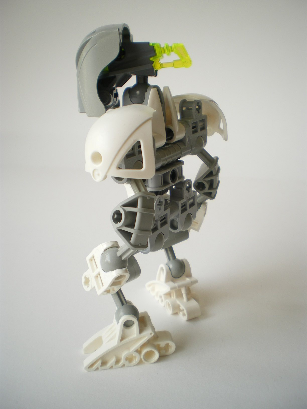 imgp3606.jpg
