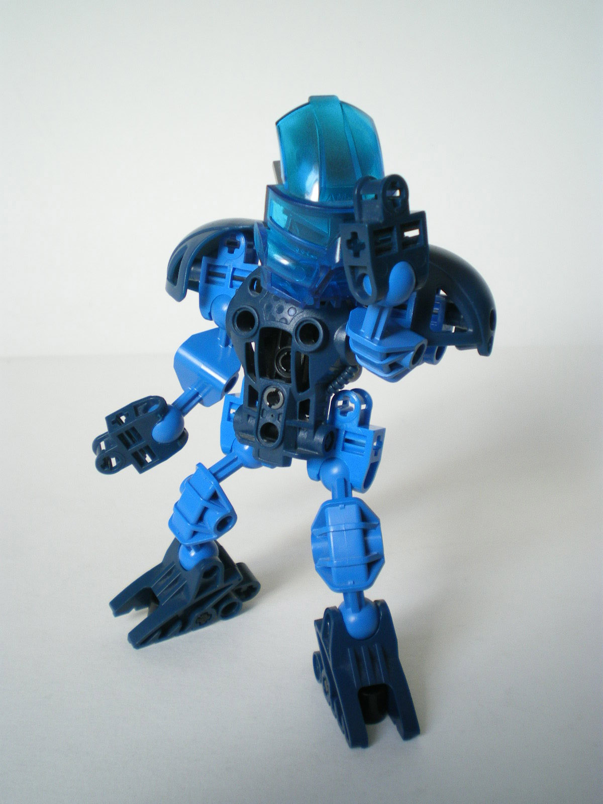 imgp2305.jpg