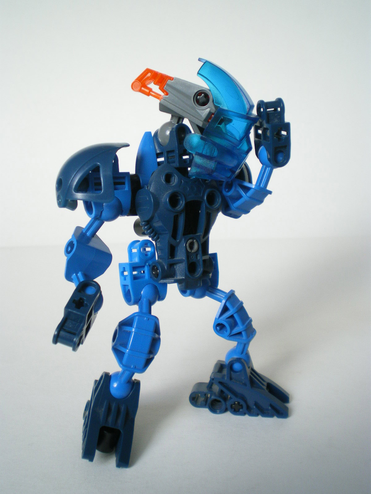 imgp2306.jpg