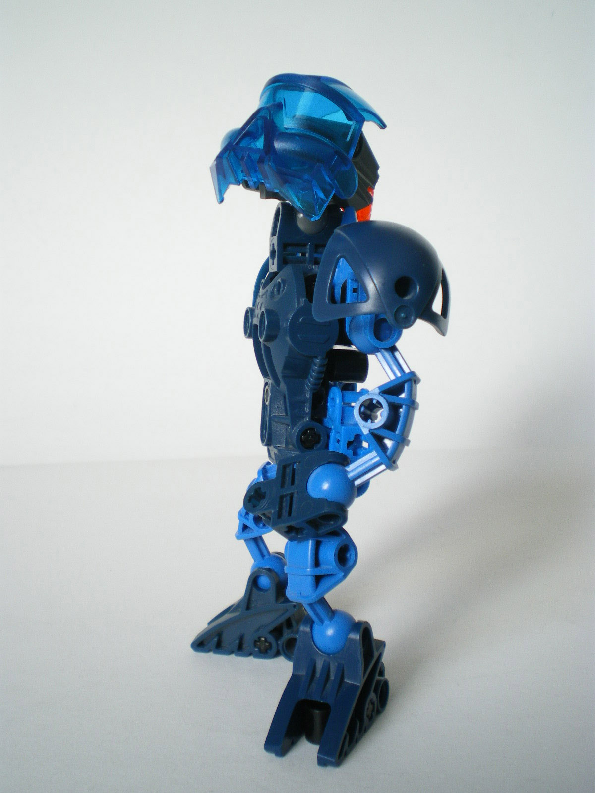 imgp2313.jpg