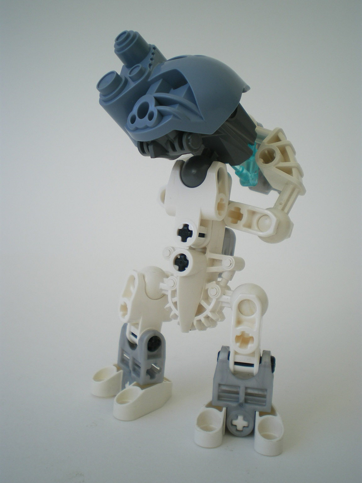 imgp6678.jpg