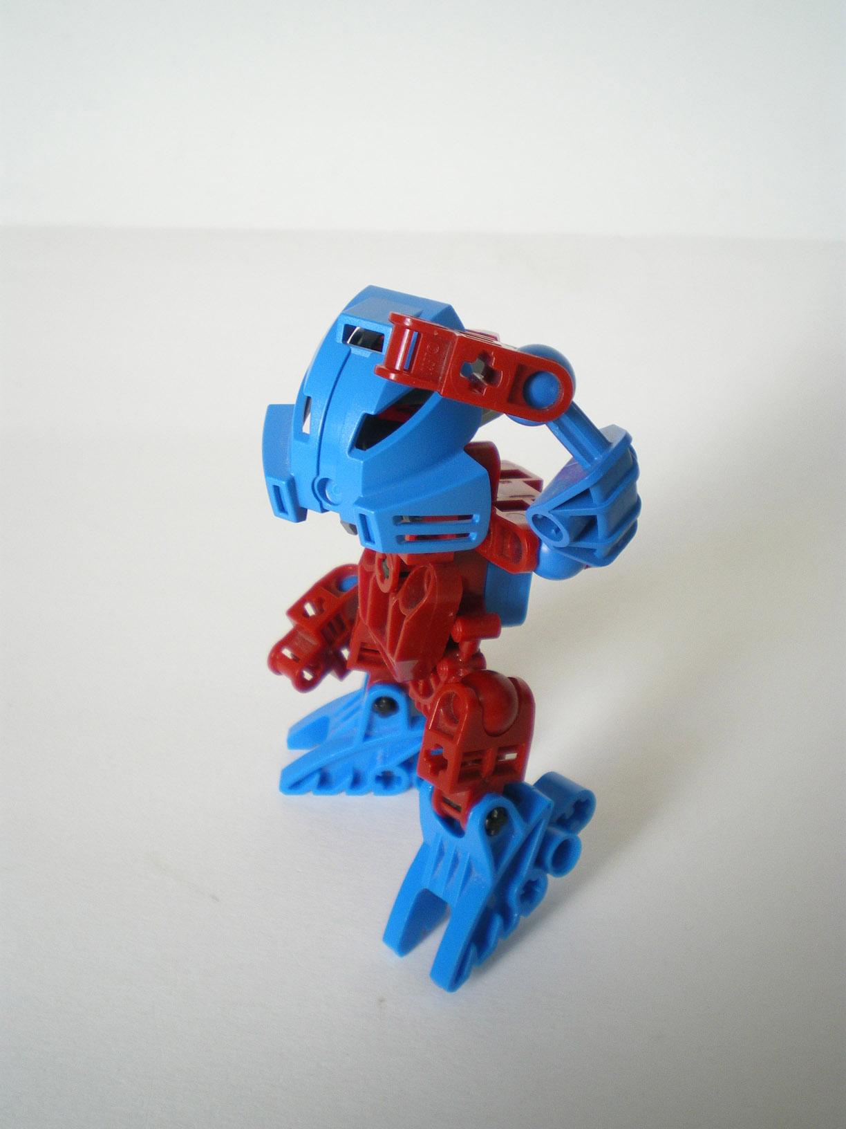 imgp7988.jpg