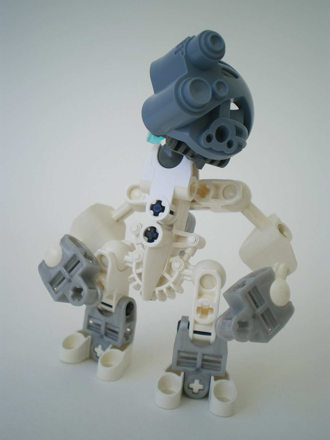 imgp6696.jpg