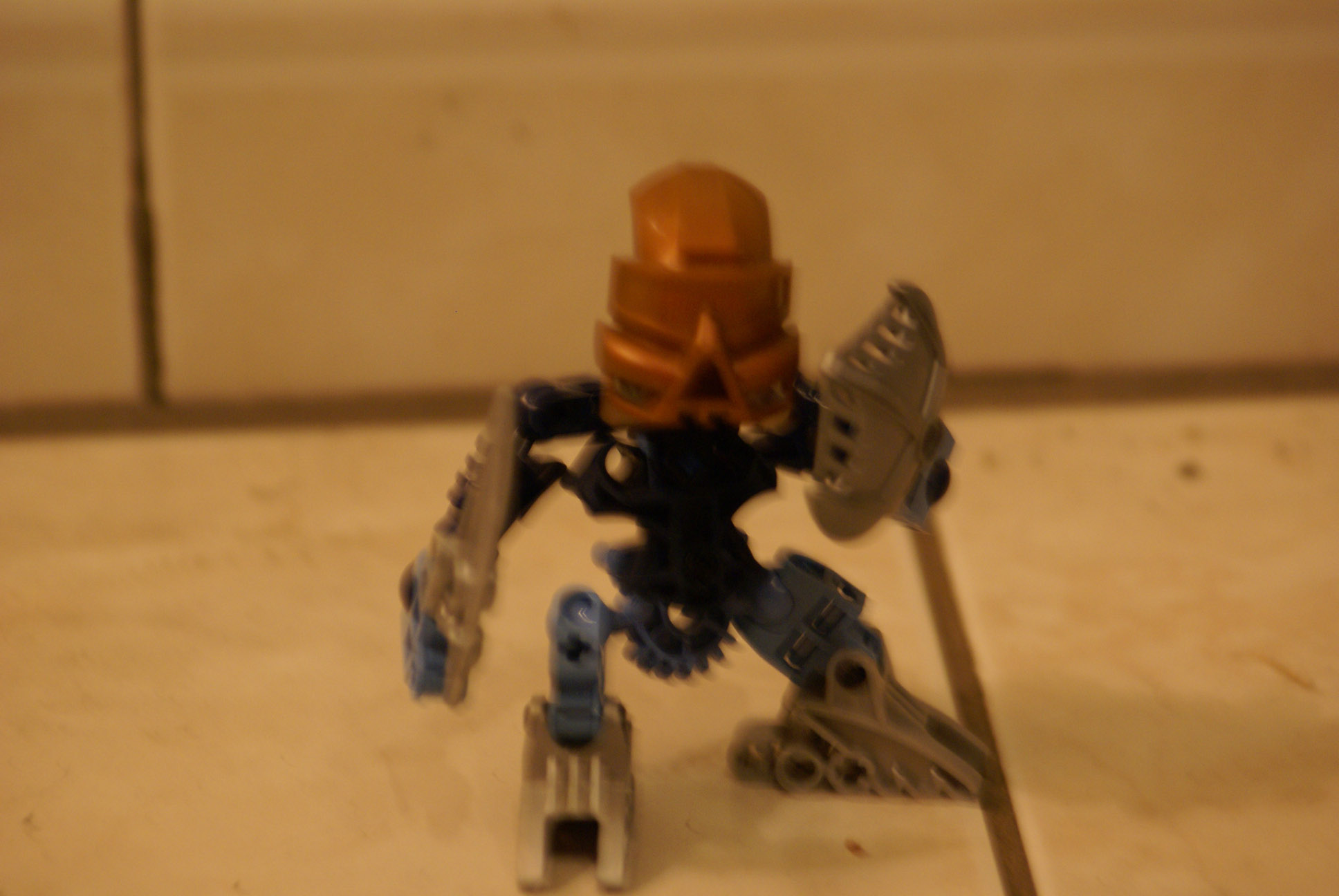 dsc00249.jpg
