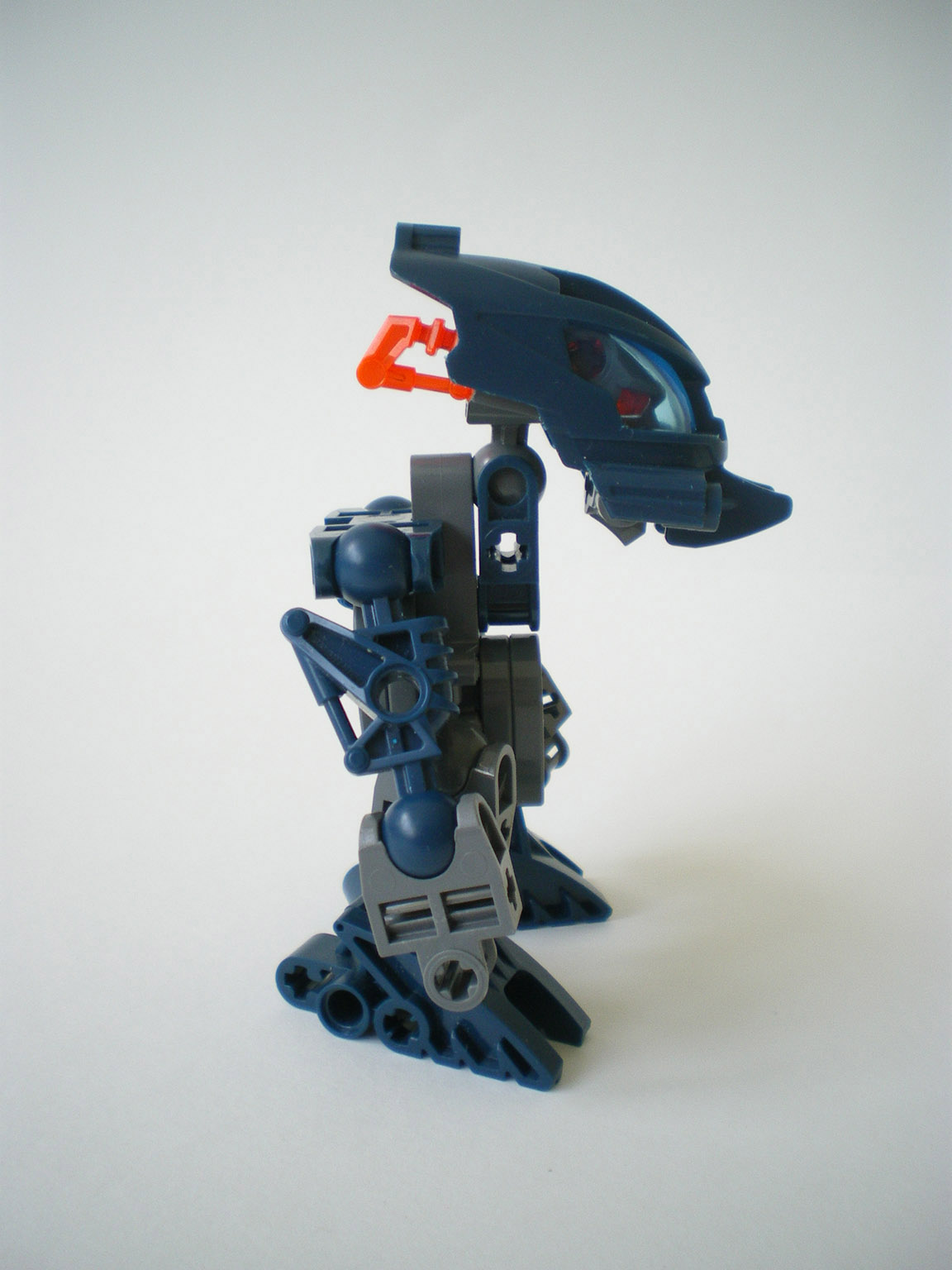 imgp6078.jpg