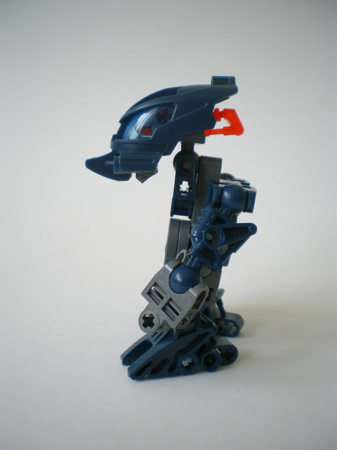 imgp6082.jpg