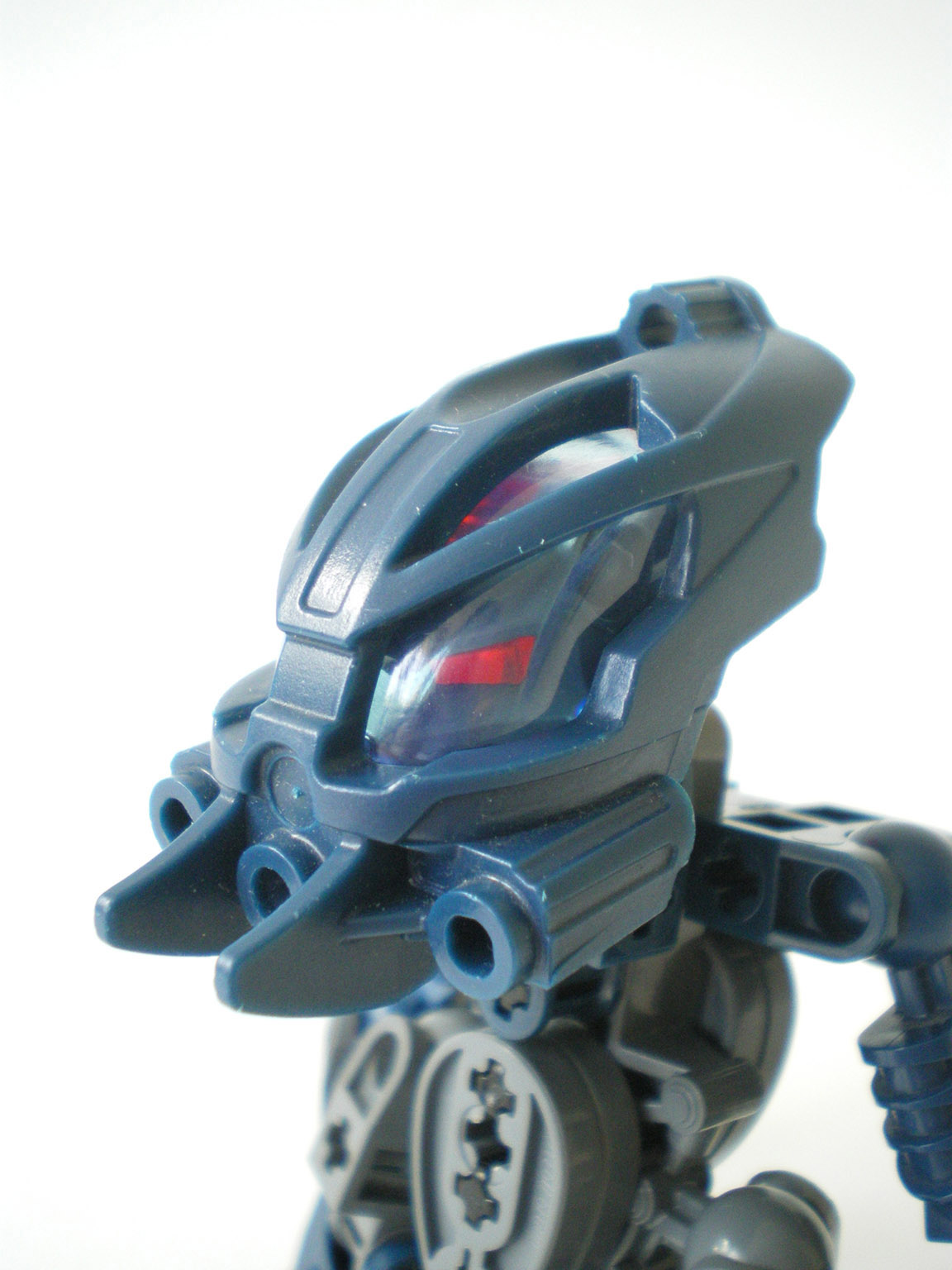 imgp6095.jpg