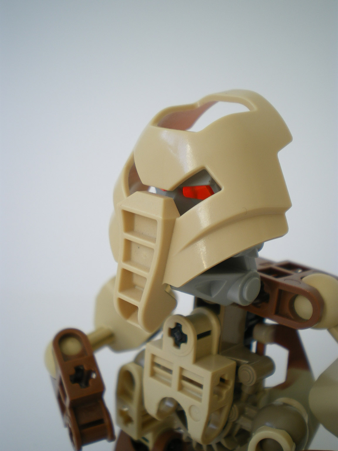 imgp6264.jpg