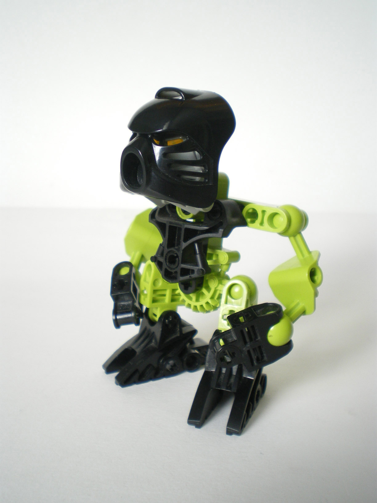 imgp8029.jpg