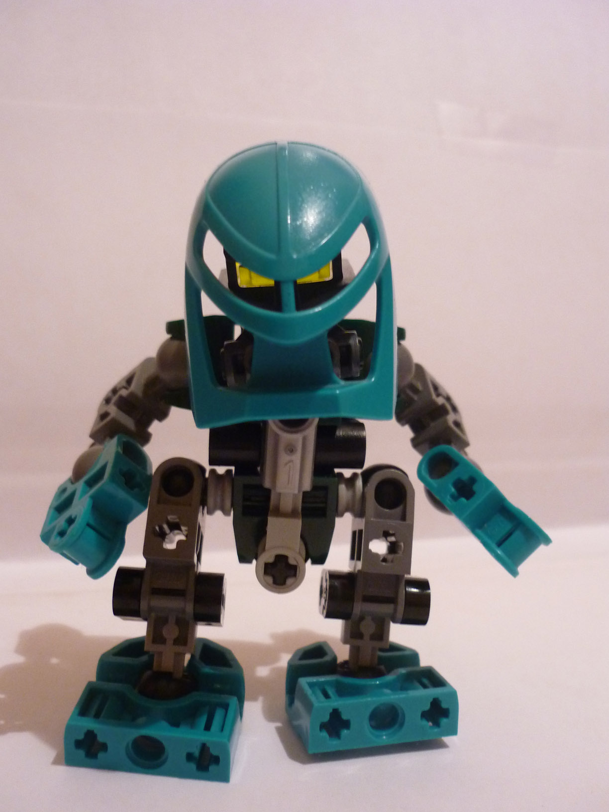 prototypus.jpg