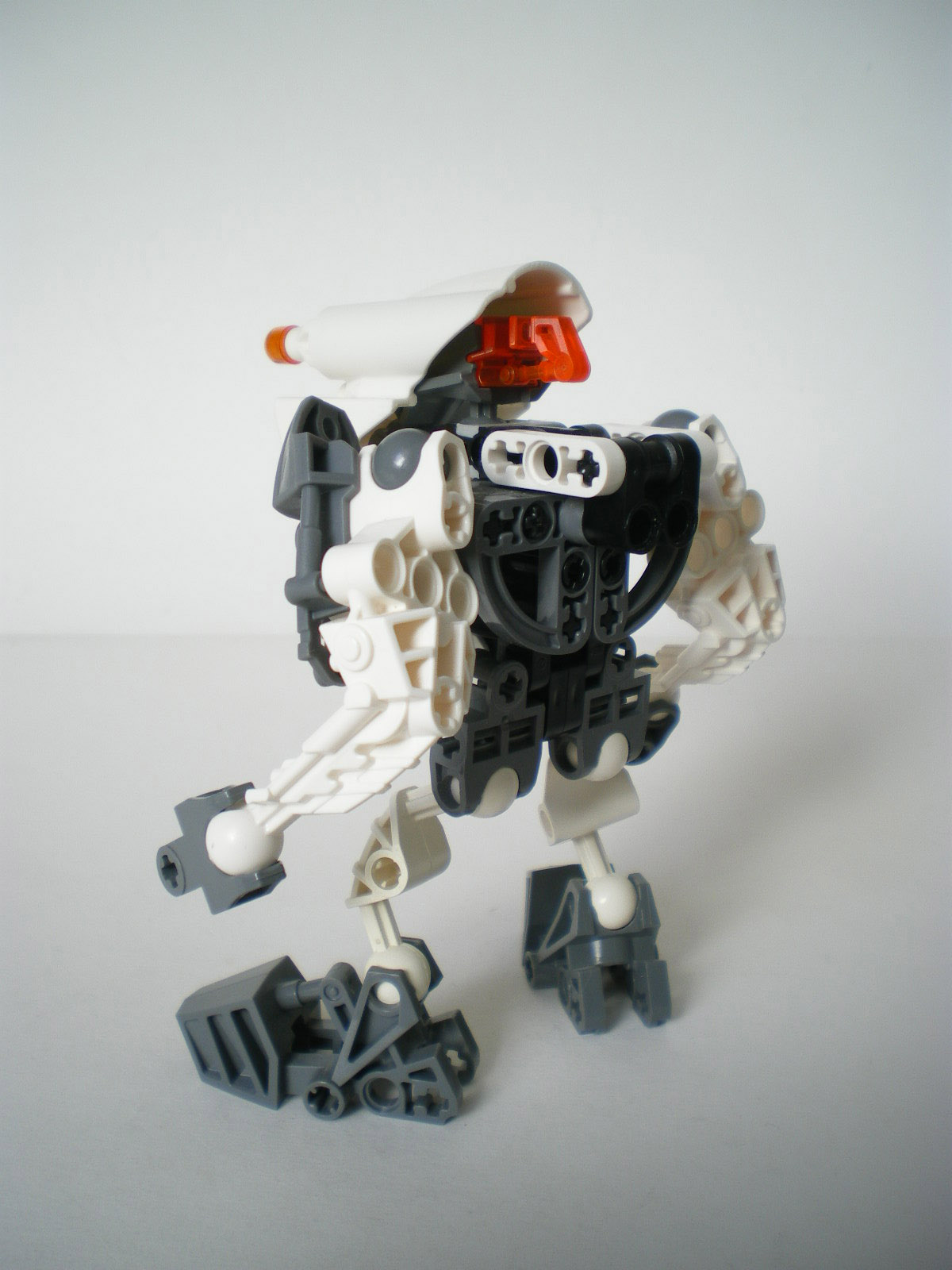 imgp2338.jpg