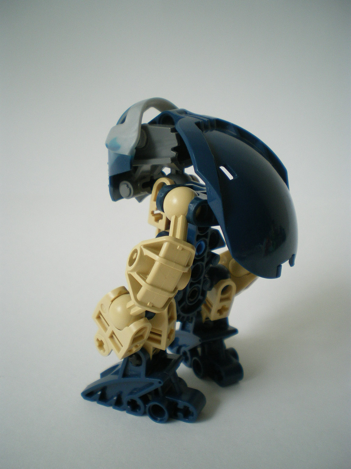 imgp3510.jpg