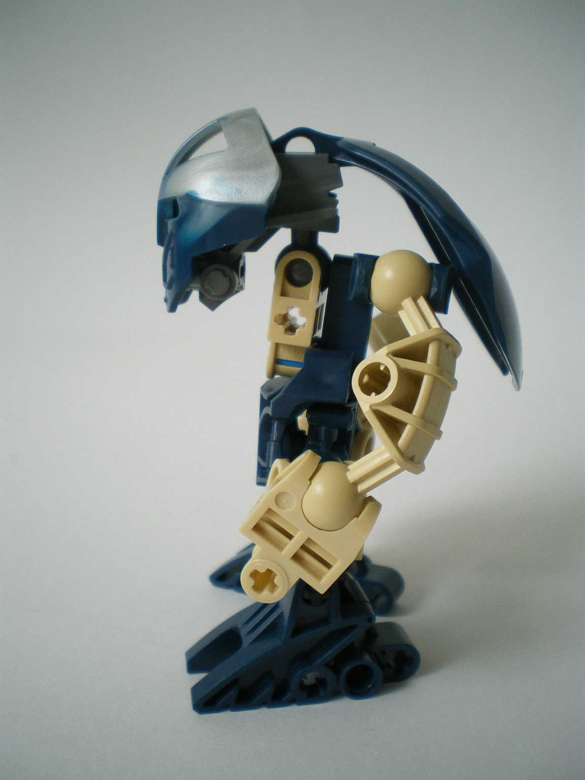 imgp3511.jpg