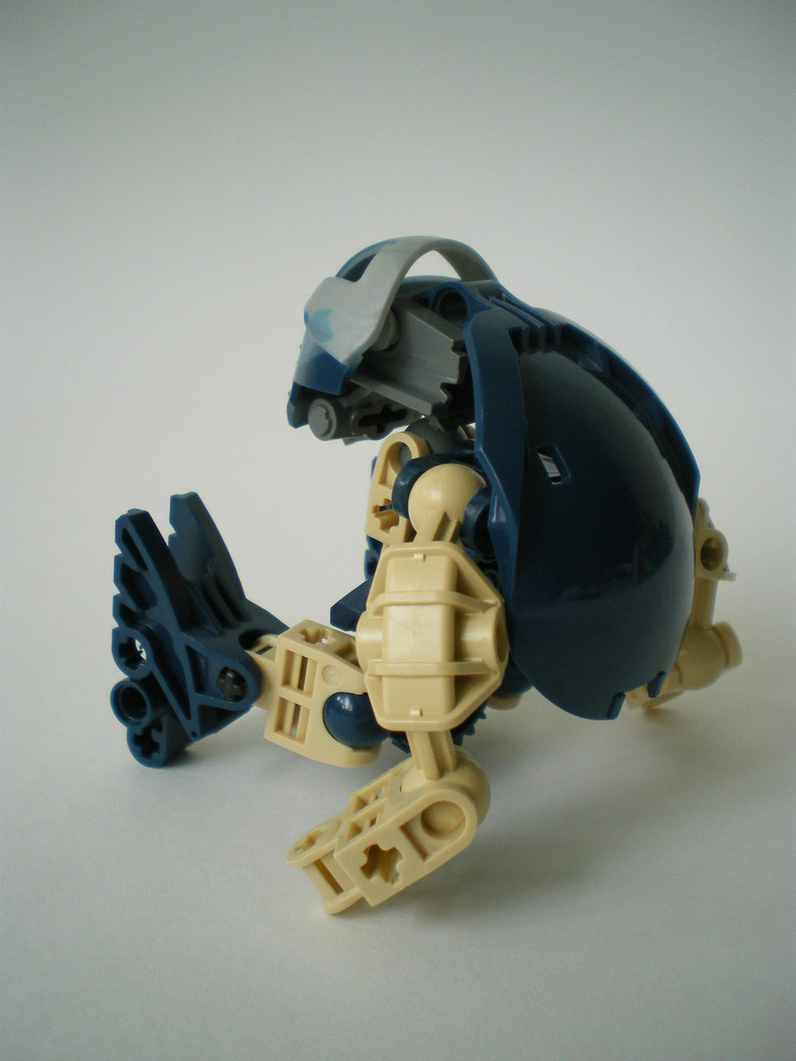 imgp3518.jpg