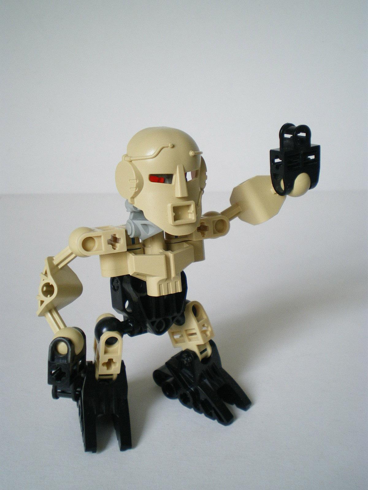 imgp2595.jpg