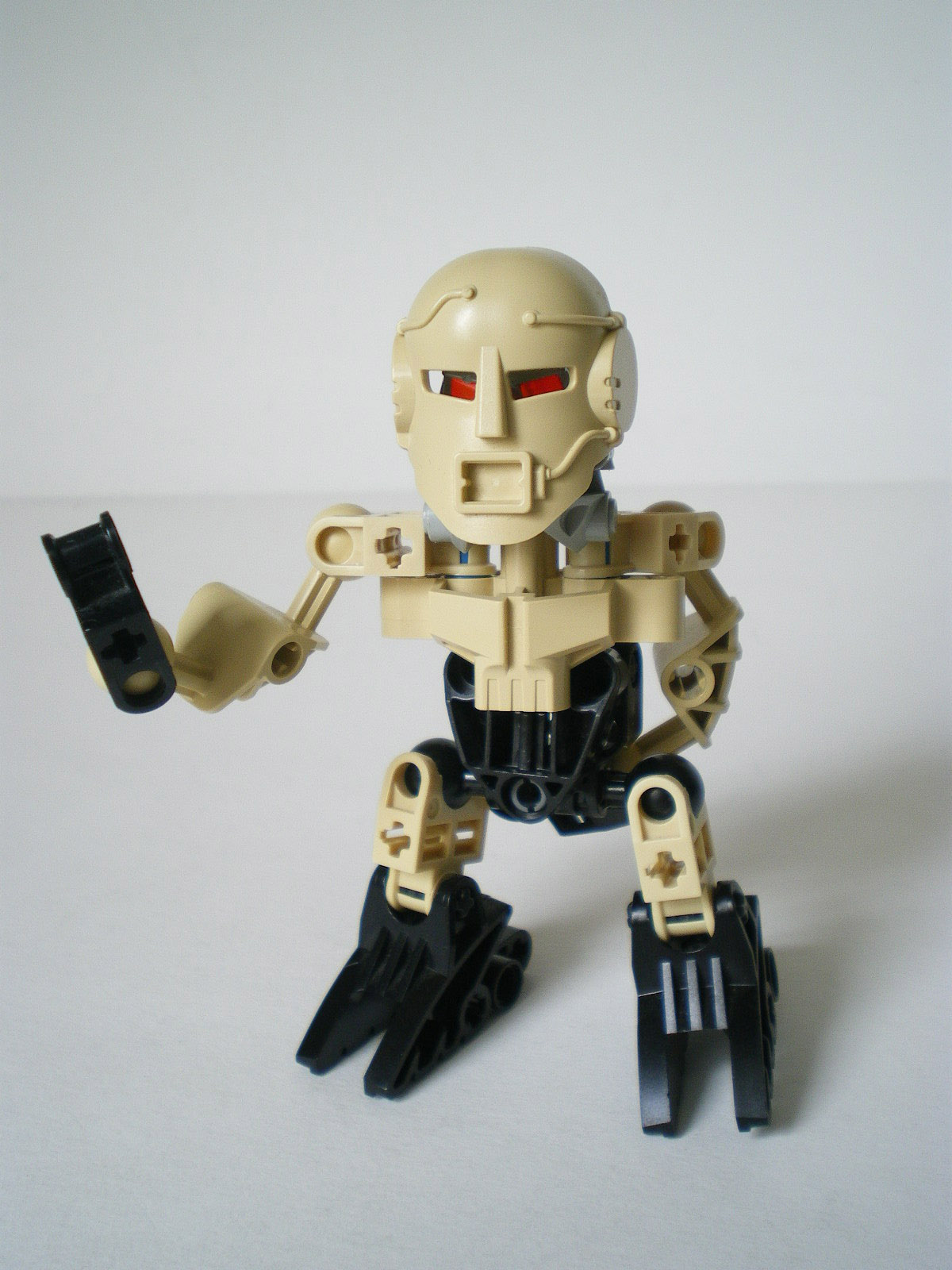 imgp2616.jpg