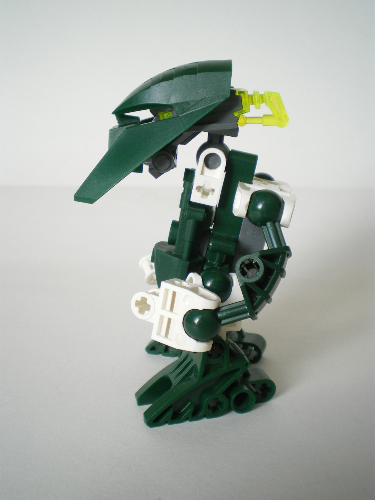 imgp8005.jpg