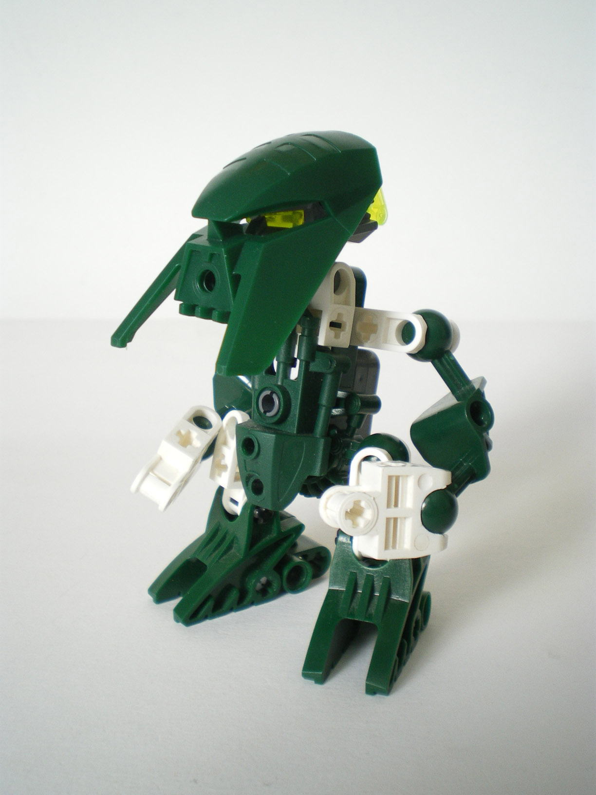 imgp8006.jpg