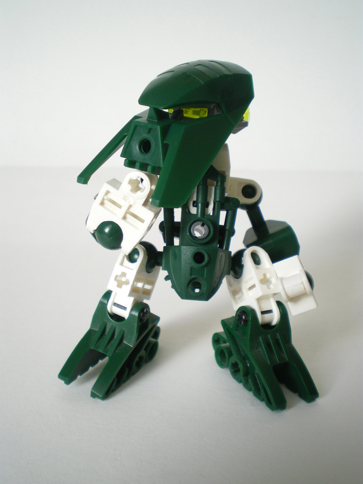 imgp8012.jpg