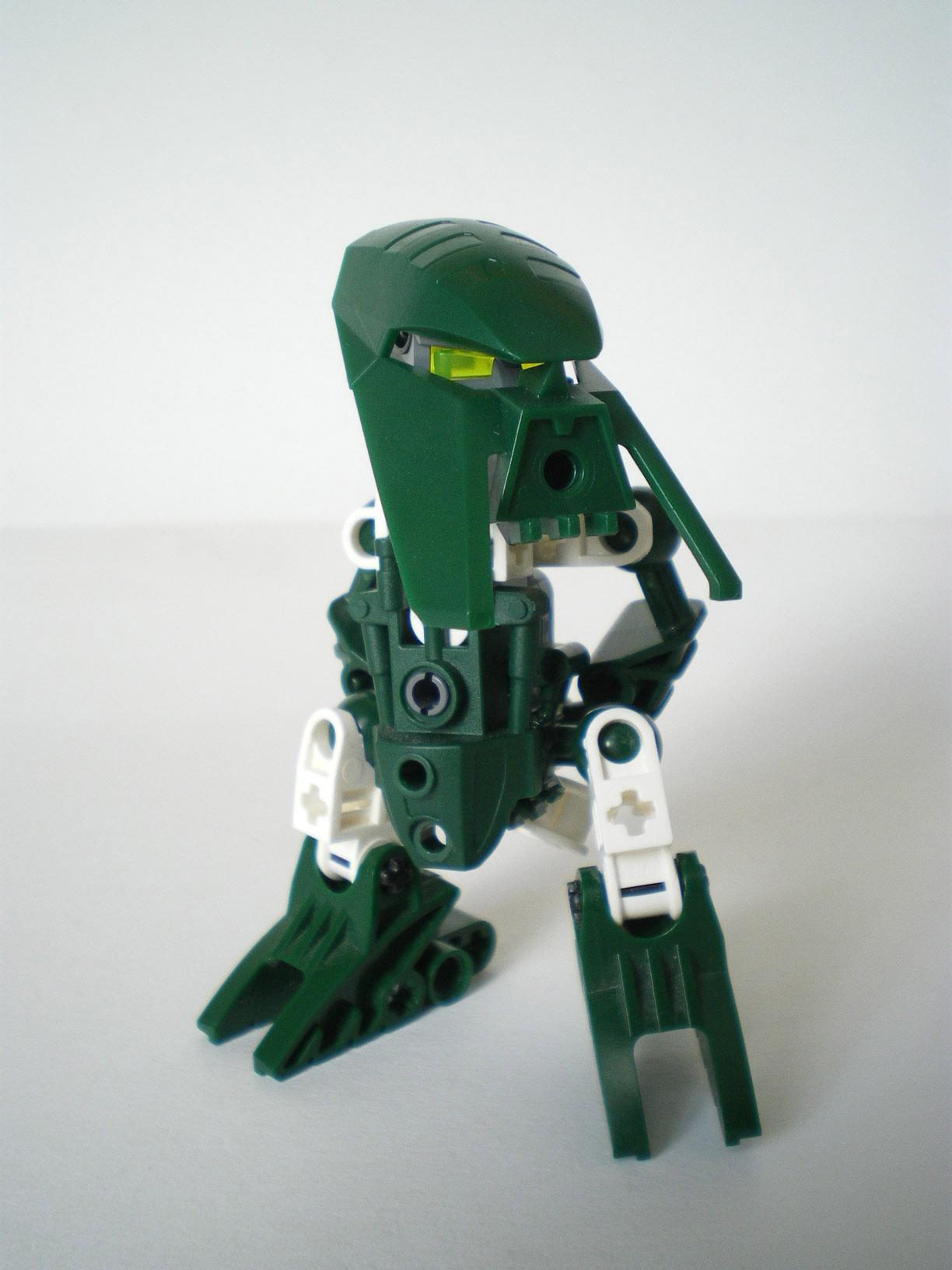imgp8013.jpg