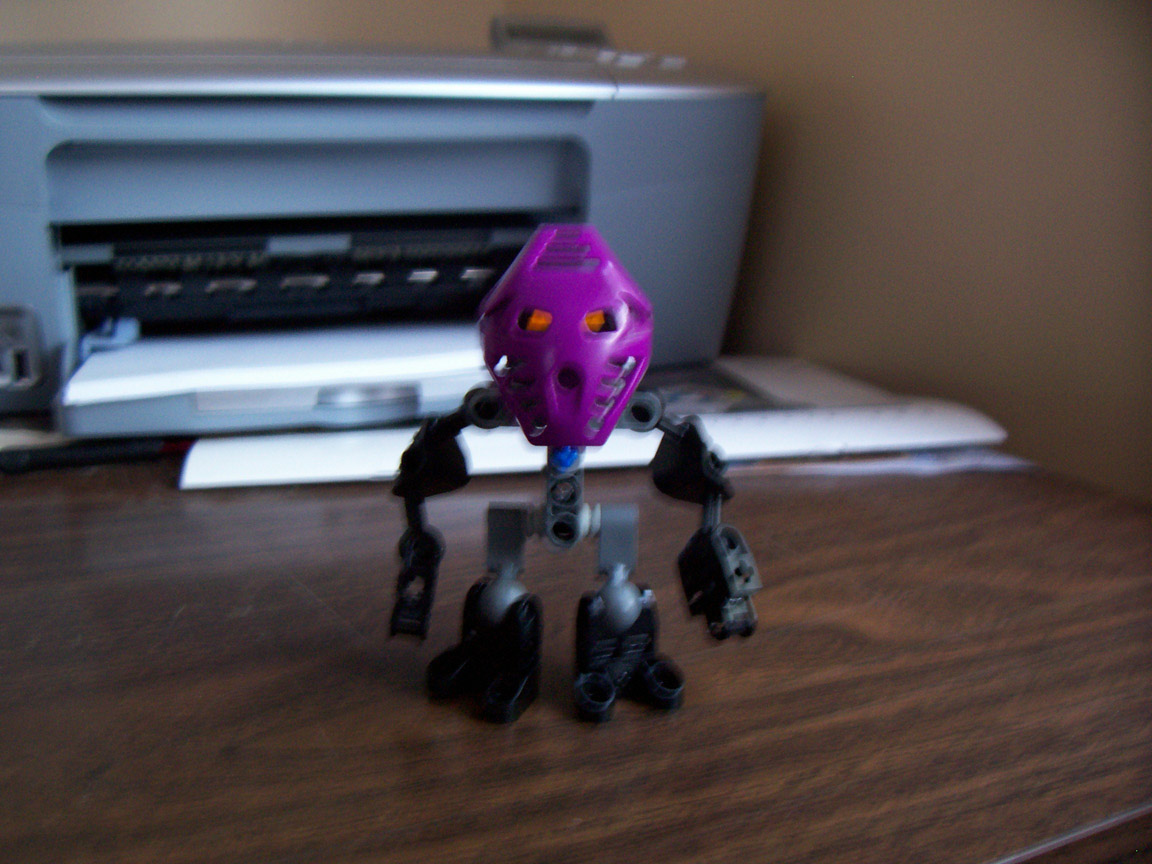100_0338.jpg