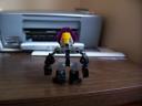 100_0340.jpg