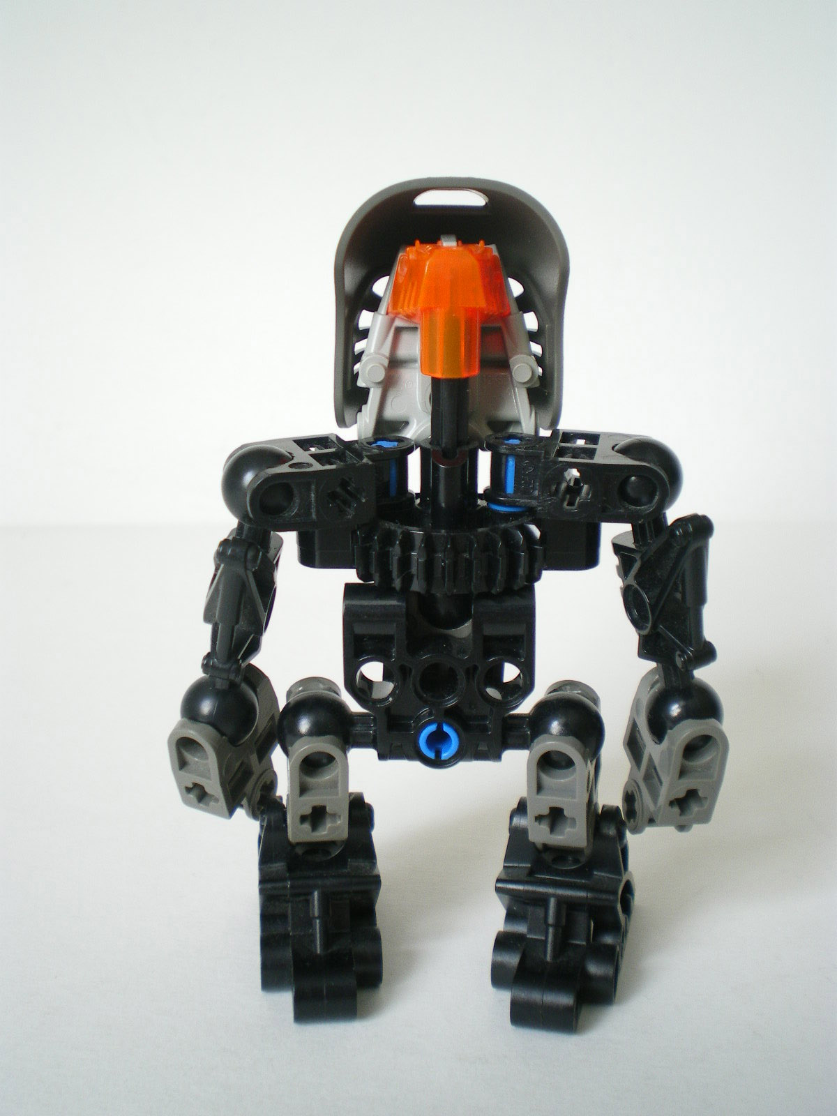 imgp2556.jpg