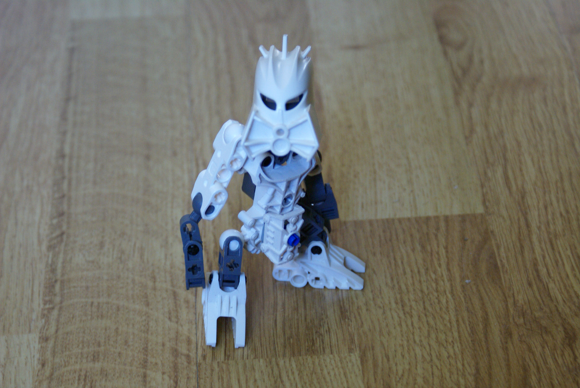 dsc00813.jpg
