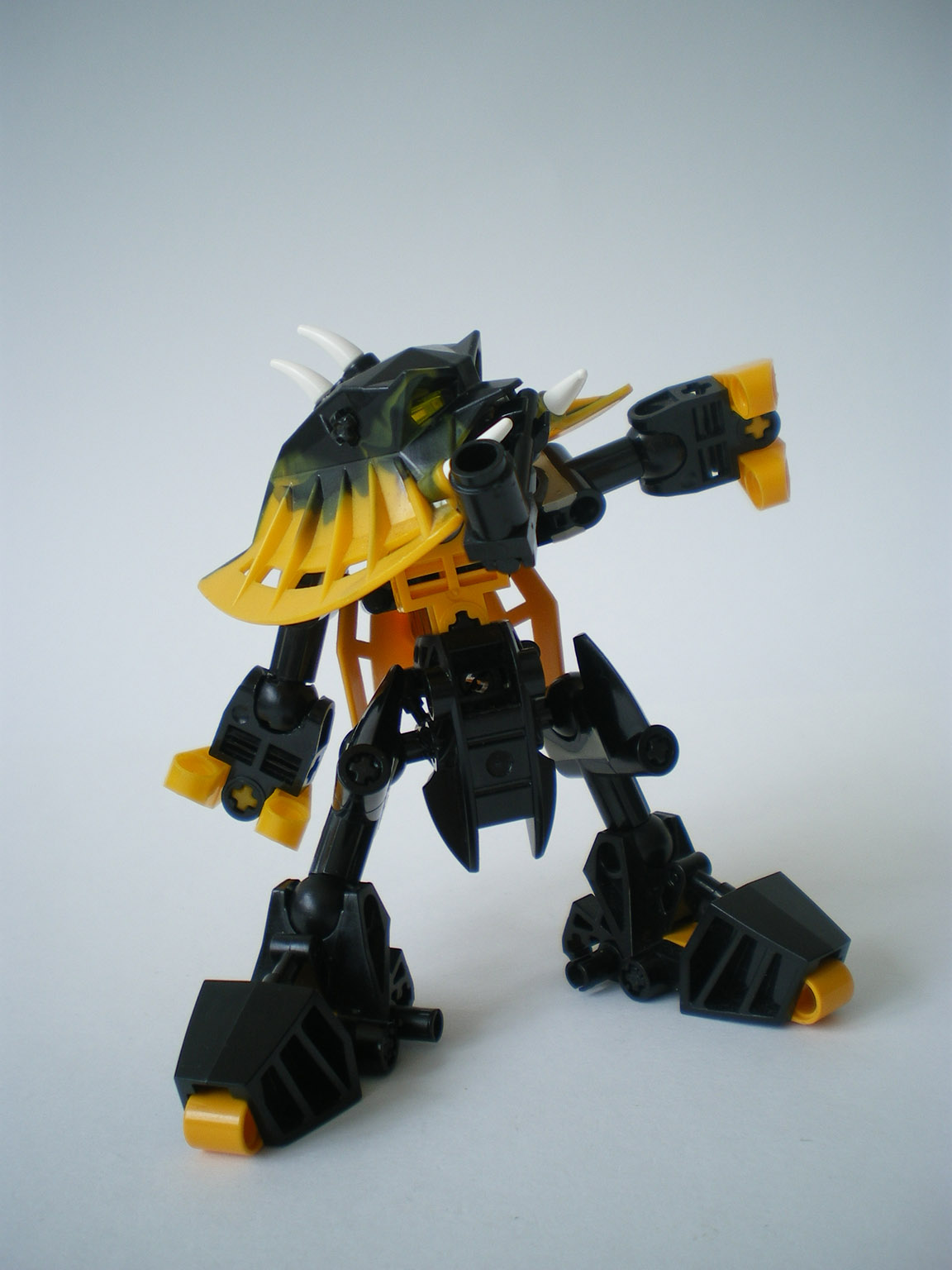imgp2650.jpg