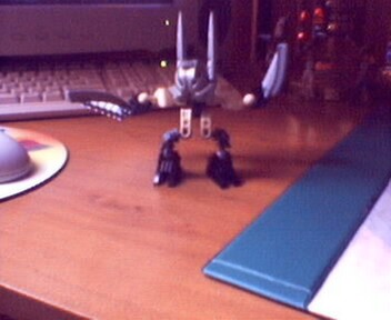 caruss2jg6.jpg