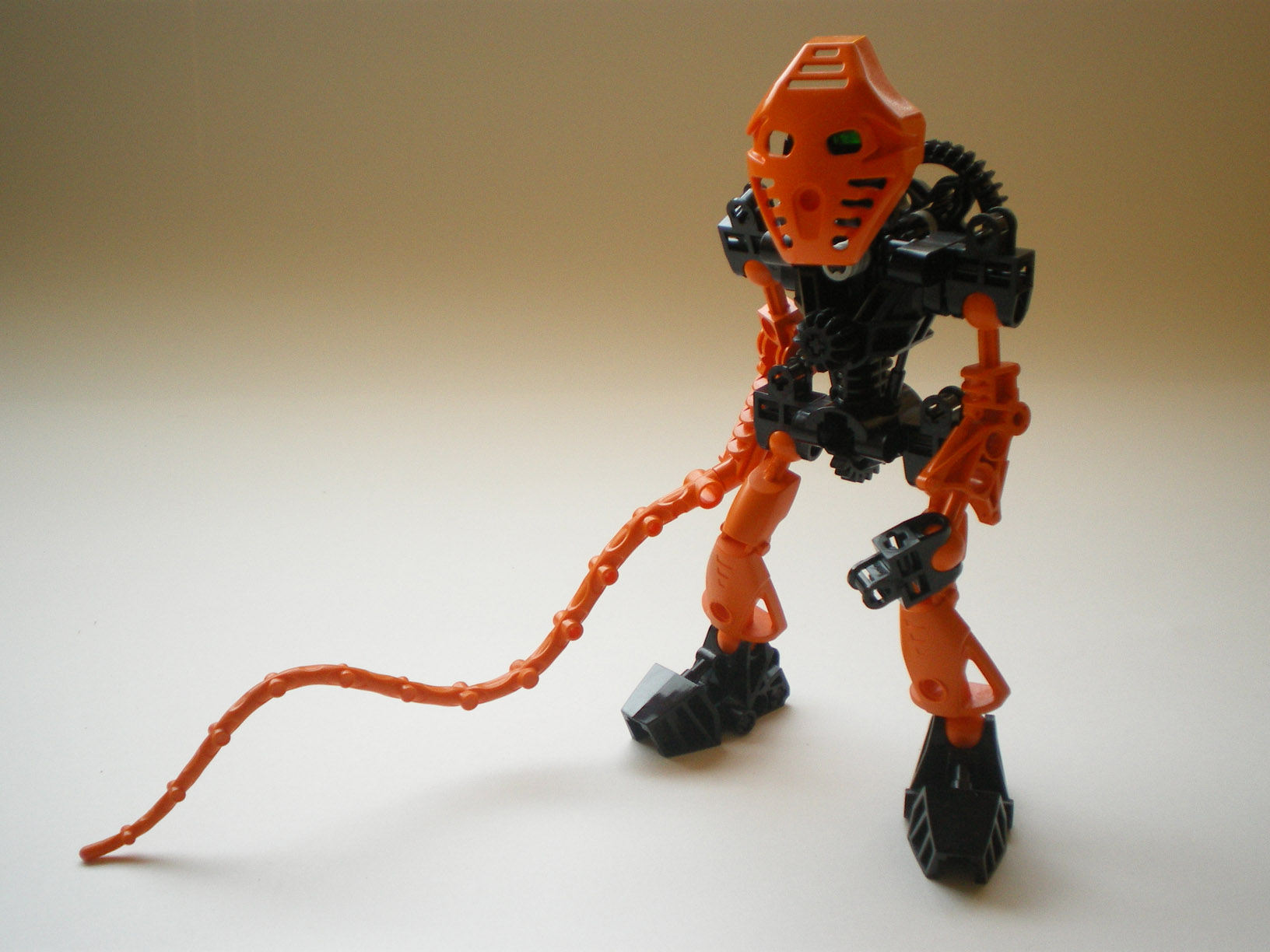 imgp1113.jpg