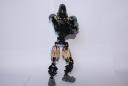 Toa-Akurian