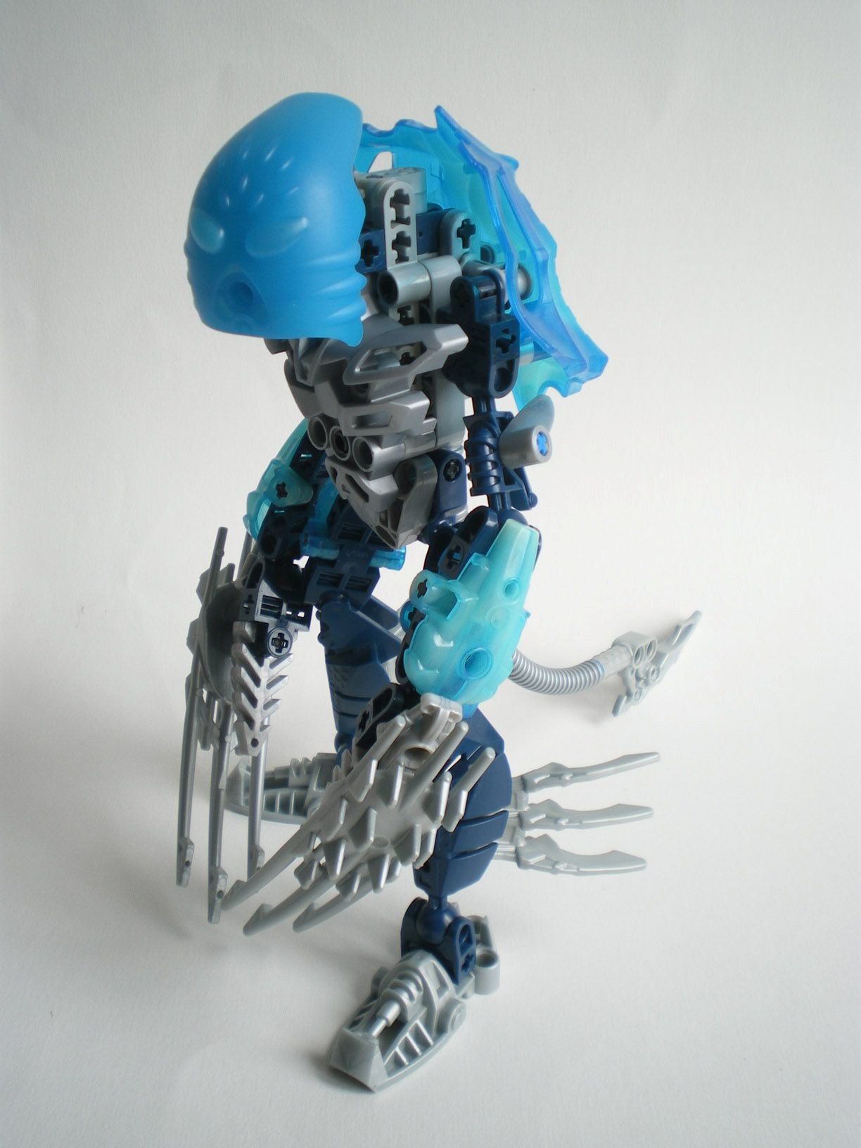 imgp6212.jpg