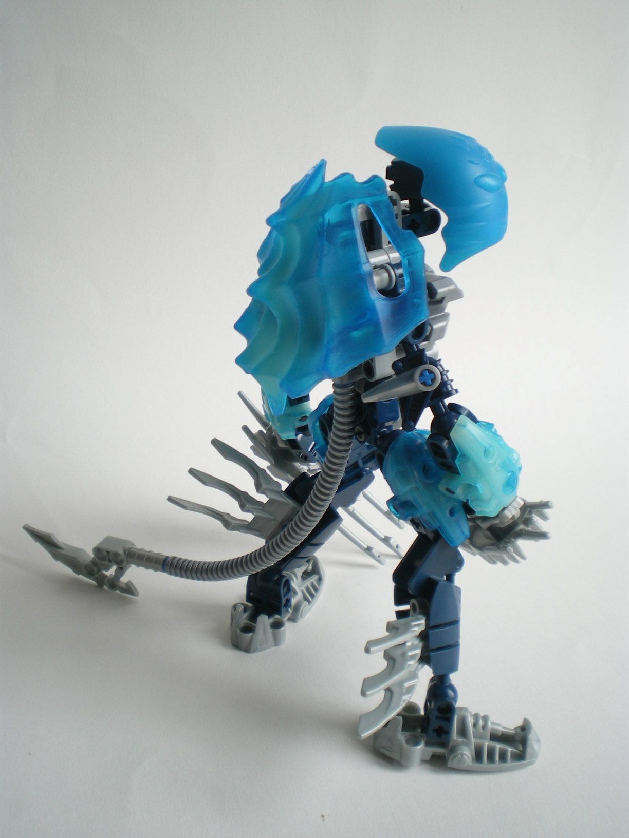 imgp6217.jpg