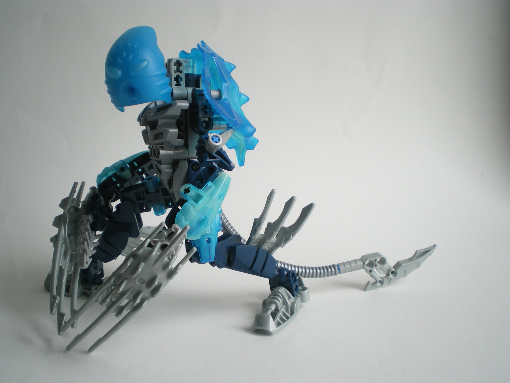imgp6221.jpg